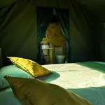 Glamping Safari Glamping Portugal Eagle Ventosa (Braga)