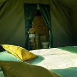 Safari Glamping Portugal Eagle Ventosa (Braga)