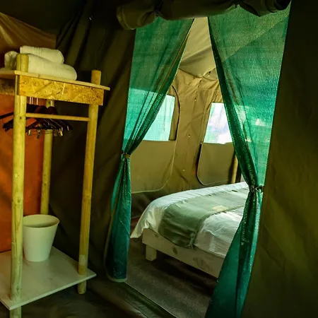 Safari Glamping Portugal Eagle Luxury tent Ventosa (Braga)