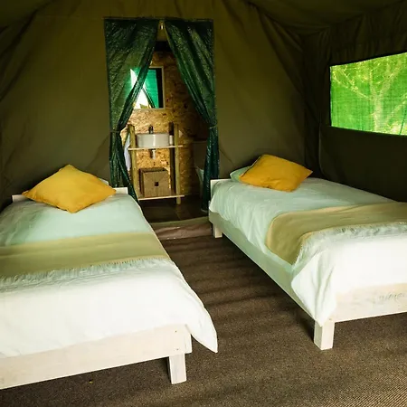 Safari Glamping Portugal Eagle