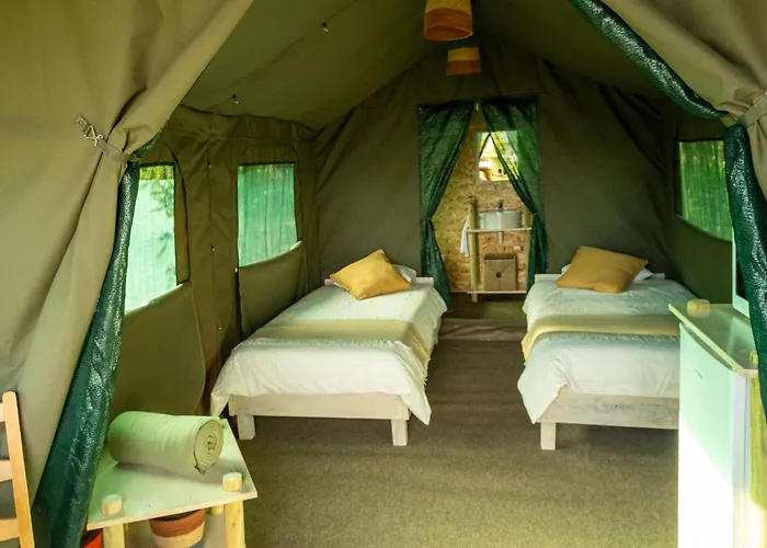 Safari Glamping Portugal Eagle 럭셔리텐트 Ventosa (Braga)